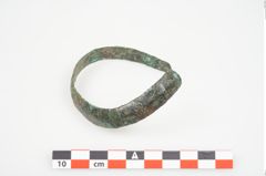 Foto von Bronzeschaukelfußreif (NHMW-PRAE-025995)